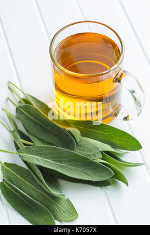 Sage tea and sage leaves. Infusion made from sage leaves. Medicinal  herb Salvia officinalis. Stock Photo