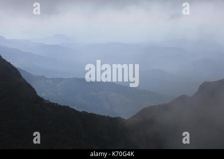 Horton Plains, Cloud Forest, Sri Lanka, Asia, Malcolm Buckland Stock Photo