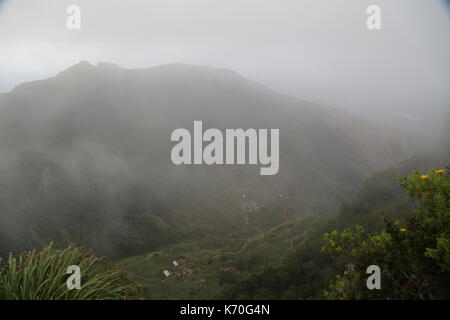 Horton Plains, Cloud Forest, Sri Lanka, Asia, Malcolm Buckland Stock Photo