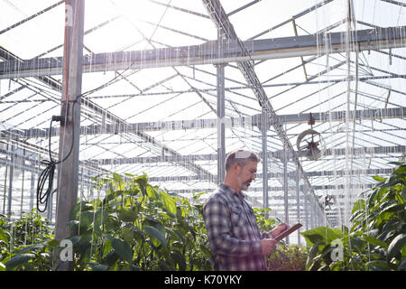 Man writing on clipboard while examining a plant in greenhouse Stock Photo