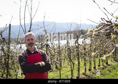 Man standing with arms crossed in the farm on a sunny day Stock Photo