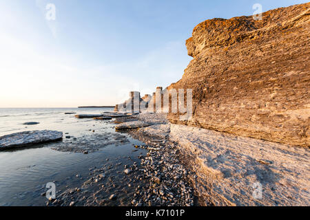occidentalis by the sea in Öland Sweden in the evening Stock Photo