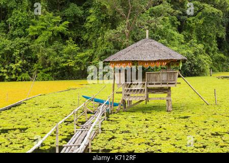 Philippines, Mindoro Island, Occidental Mindoro, Municipality of Sablayan, hut on stilts to accommodate tourists on Panikan Lake Stock Photo