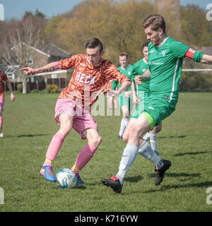 Is this the worst football kit ever? Team aim to make critics of Bedale  sausage themed pink and orange strip eat their words