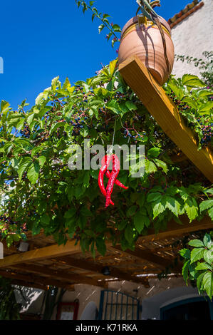 VILLAGE MEDIEVAL DU CASTELLET, PIMENT D'ESPELETTE, VAR 83 FRANCE Stock Photo