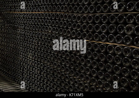 Horizontal perspective view of rows of many champagne bottles in a wine cellar Stock Photo