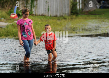 Elfers, United States. 13th Sep, 2017. September 13, 2017- Elfers, Florida, United States - Children walk in a road which flooded with water from the Anclote River in Elfers, Florida on September 13, 2017. The river rose to four feet above flood stage in the aftermath of Hurricane Irma. Credit: Paul Hennessy/Alamy Live News Stock Photo