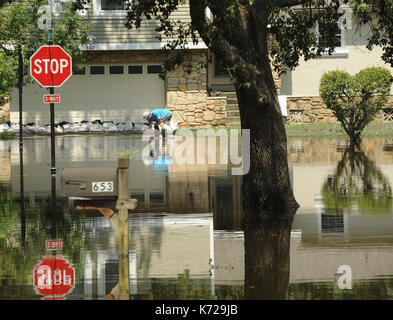 Altamonte Springs, United States. 14th Sep, 2017. September 14, 2017- Altamonte Springs, Florida, United States - A stop sign is seen reflected in flood waters in the street in the Spring Oaks neighborhood of Altamonte Springs, Florida on September 14, 2017. Emergency workers used boats and trucks to rescue more than 50 residents on September 11, 2017 when water from the nearby Little Wekiva River swamped their homes in the wake of Hurricane Irma. Credit: Paul Hennessy/Alamy Live News Stock Photo