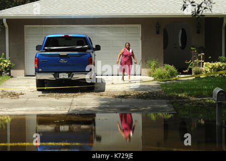 Altamonte Springs, United States. 14th Sep, 2017. September 14, 2017- Altamonte Springs, Florida, United States - A woman and a truck are seen reflected in flood waters in the street in the Spring Oaks neighborhood of Altamonte Springs, Florida on September 14, 2017. Emergency workers used boats and trucks to rescue more than 50 residents on September 11, 2017 when water from the nearby Little Wekiva River swamped their homes in the wake of Hurricane Irma. Credit: Paul Hennessy/Alamy Live News Stock Photo