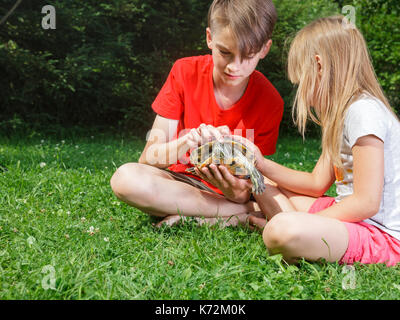 Brother and sister  wearing casual clothes  sitting on a lawn in a summer garden holding turtle Stock Photo