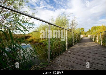 France, Marne, Bezannes, view of a water retention park Stock Photo