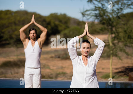 Couple performing yoga at safari vacation on a sunny day Stock Photo