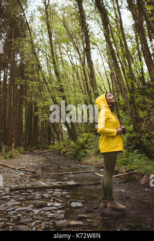 Full length of young woman looking up while standing at forest Stock Photo