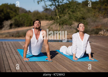 Couple performing yoga at safari vacation on a sunny day Stock Photo