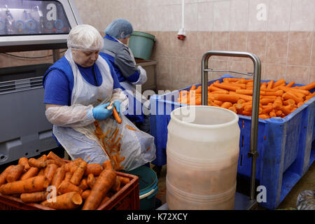St. Petersburg, Russia - February 28, 2017: Female worker peeling carrot in a food processing plant. The Factory of Homemade Pickles participates in t Stock Photo
