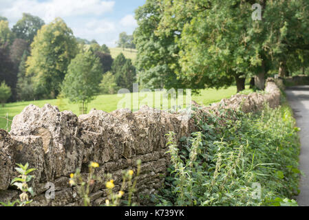 A view of a traditional Cotswold dry stone wall bordering a field in the heart of Gloucestershire, UK. On a sunny summers day. Stock Photo