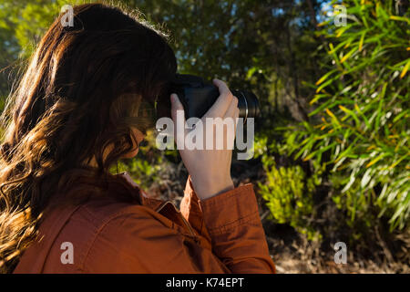 Woman photographing trees from camera Stock Photo