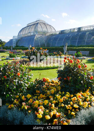 Europe, UK, England, London, Kew Gardens Palm House Stock Photo
