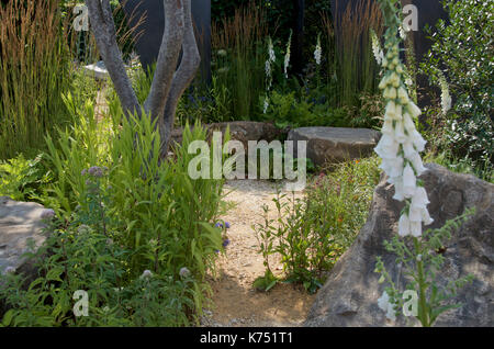 Natural rocks used as seats in a woodland style garden. The Watch This Space garden designed by Andy Sturgeon at RHS Hampton Court Palace Flower Show  Stock Photo
