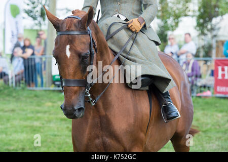 Woman riding sidesaddle on her horse at at Moreton in Marsh country show, Cotswolds, Gloucestershire, UK Stock Photo