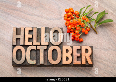 hello October greeting card - vintage letterpress wood type blocks against grained wood with firethorn berries Stock Photo