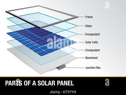 Graph showing parts of a solar panel - Renewable Energy - Vector image Stock Vector