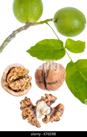 Green and ripe broken walnuts. Walnut leaves on white Stock Photo