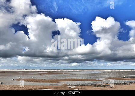 White cumulus clouds over the beach and sea with seabirds feeding in the sand and pools Stock Photo