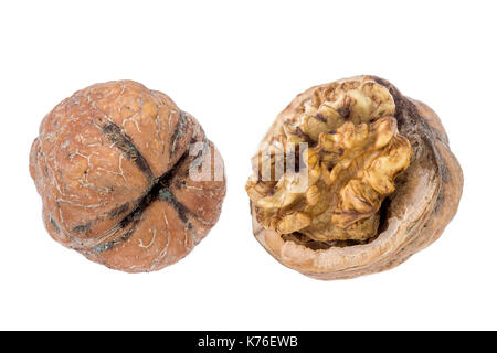 Walnut isolated on white background. With clipping path. on white Stock Photo