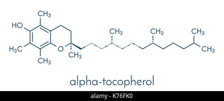 Vitamin E (alpha tocopherol) molecule. Skeletal formula. Stock Vector
