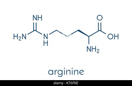 Arginine (L-arginine, Arg, R) amino acid molecule. Skeletal formula. Stock Vector