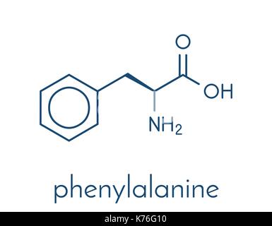 Phenylalanine (L-phenylalanine, Phe, F) amino acid molecule. Skeletal formula. Stock Vector