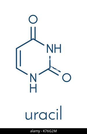 Uracil (U) nucleobase molecule. Present in ribonucleic acid (RNA). Skeletal formula. Stock Vector