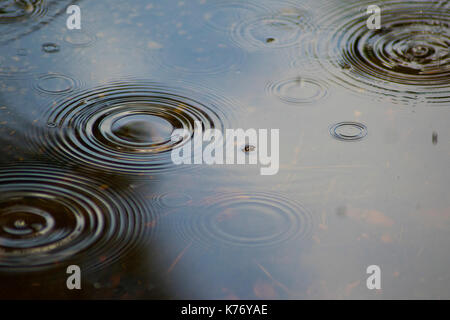 Macro photo of water ripples caused by raindrops in a small puddle. Stock Photo