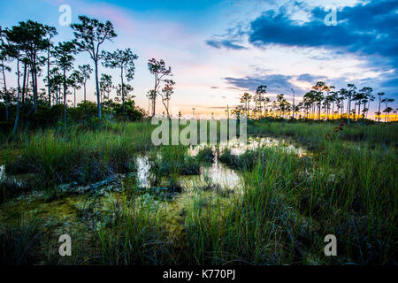 Everglades Sunset National Park lake reflections Stock Photo