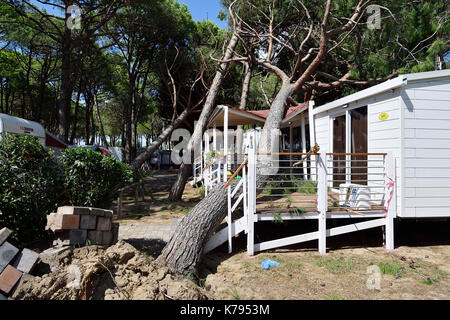 Storm Damage Camping tornado destroy caravan camper mobil home campsite tree fall down broke down Stock Photo