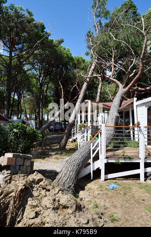 Storm Damage Camping tornado destroy caravan camper mobil home campsite tree fall down broke down Stock Photo