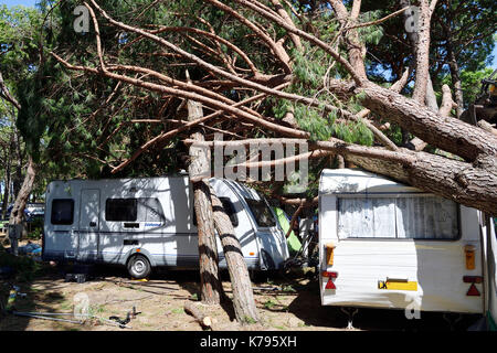 Storm Damage Camping tornado destroy caravan camper mobil home campsite tree fall down broke down Stock Photo