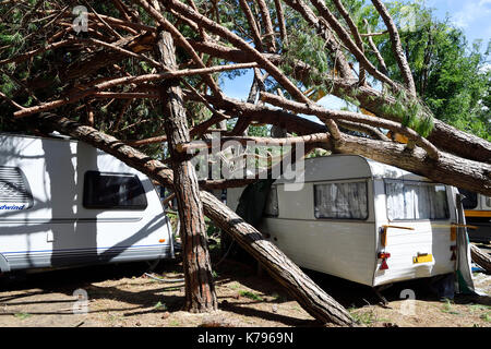 Storm Damage Camping tornado destroy caravan camper mobil home campsite tree fall down broke down Stock Photo