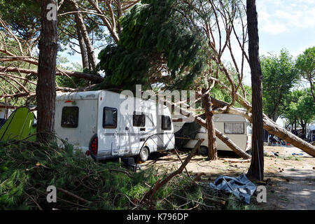 Storm Damage Camping tornado destroy caravan camper mobil home campsite tree fall down broke down Stock Photo