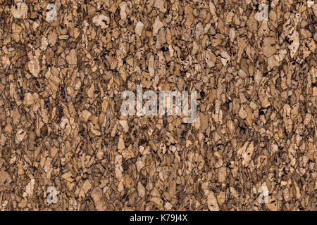 A dark brown cork texture background Stock Photo