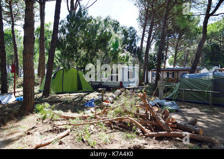 Storm Damage Camping tornado destroy caravan camper mobil home campsite tree fall down broke down Stock Photo