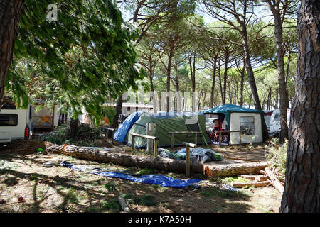 Storm Damage Camping tornado destroy caravan camper mobil home campsite tree fall down broke down Stock Photo