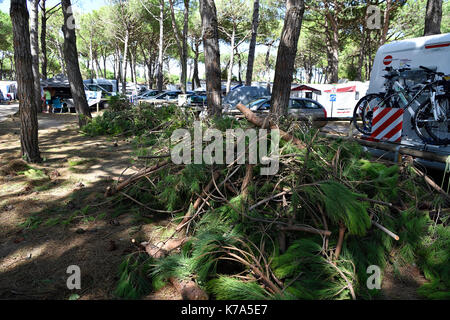 Storm Damage Camping tornado destroy caravan camper mobil home campsite tree fall down broke down Stock Photo