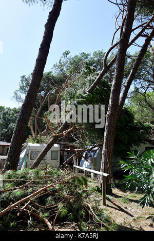 Storm Damage Camping tornado destroy caravan camper mobil home campsite tree fall down broke down Stock Photo