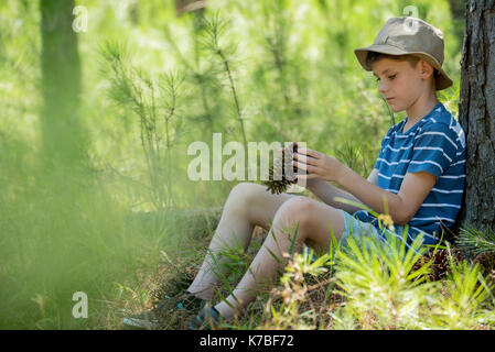 Boy leaning against tree trunk, looking at pine cone Stock Photo