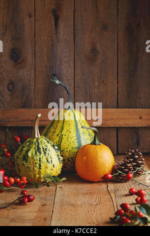 Various types of pumpkin on a wooden table. Arrangement of decorative pumpkins, pine cones and rose hips. Stock Photo