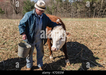 Man petting cow while standing in farm Stock Photo