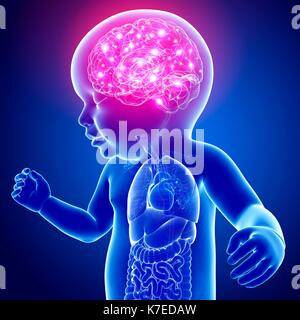 Illustration of a baby's brain activity. Stock Photo