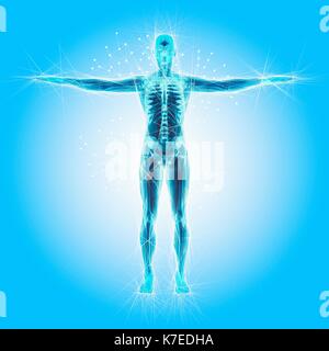 Atomic structure of the human body, illustration Stock Photo - Alamy